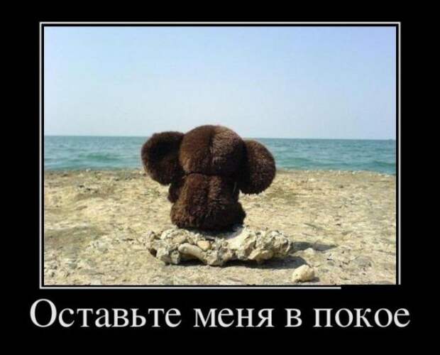 Забавные демотиваторы для веселья и позитива (12 фото) Забавные демотиваторы для веселья и позитива (12 фото)