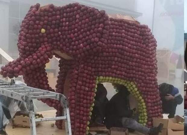Жители Ставрополя уничтожили слона из яблок, празднуя День города