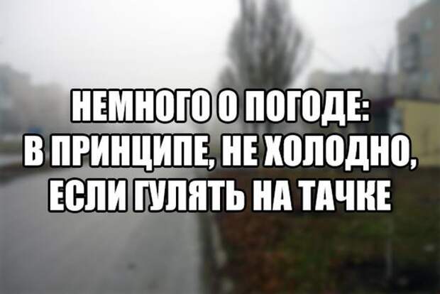 Смешные картинки дня