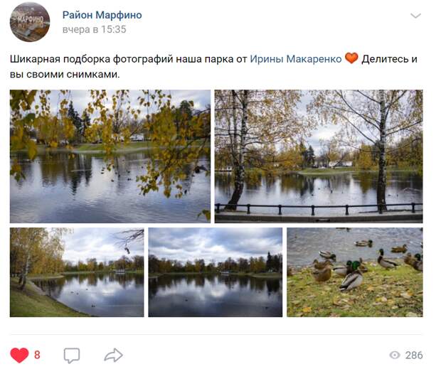 Осенние виды Останкинского парка впечатлили жительницу Марфина