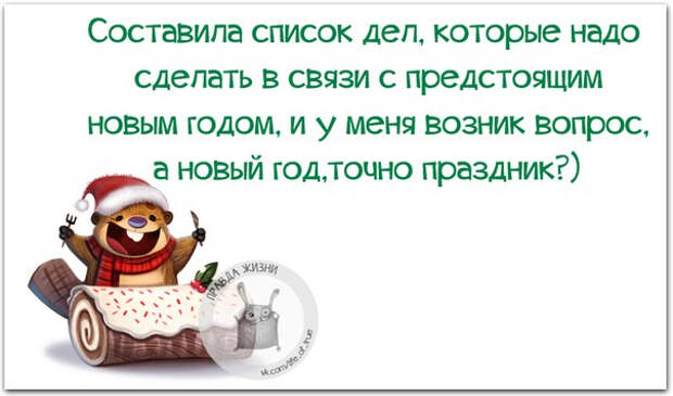 Немного новогодней «Правды жизни» (30 картинок)
