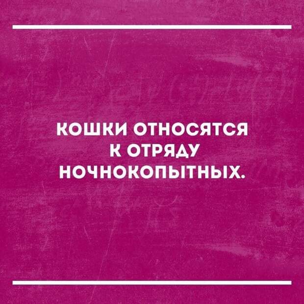 Смешные и жизненные анекдоты, которые точно заставят вас хохотать