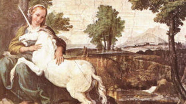 5 самых популярных медицинских заблуждений