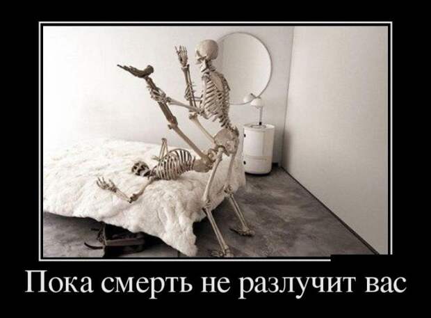 Демотиваторы (30 фото)