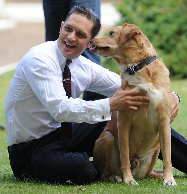 https://sobakibalabaki.com/wp-content/uploads/2017/09/love-for-dogs-tom-hardy-59bf77f59aac6__700.jpg