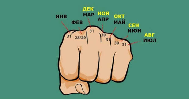 11 крайне полезных трюков, которым только некоторых из нас научили в школе