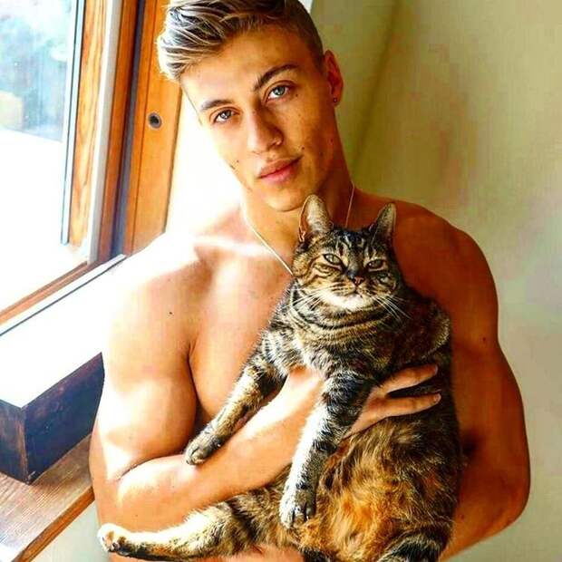 Инстаграм-аккаунт с горячими парнями, которые позируют с кошками, точно поднимет давление у любой девушки животные, кошки, мужчины