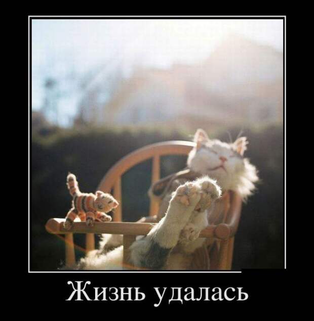 1484581123_09