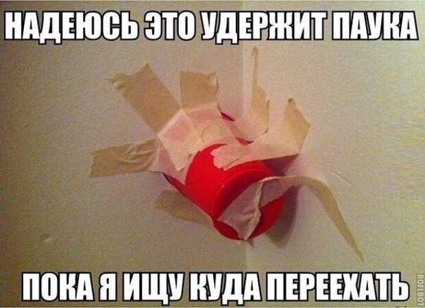 Пятничная подборка забавных картинок (28 фото)