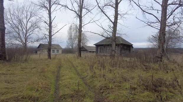 Это огромная, заброшенная деревня Мордовии. Здесь остались сотни брошенных домов и на десятки километров ни одной живой души. Люди покинули это место совсем недавно и масштаб просто потрясает.-13-2