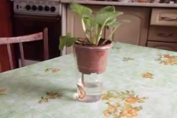 :  