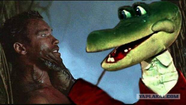 Подборка веселых картинок с тырнета