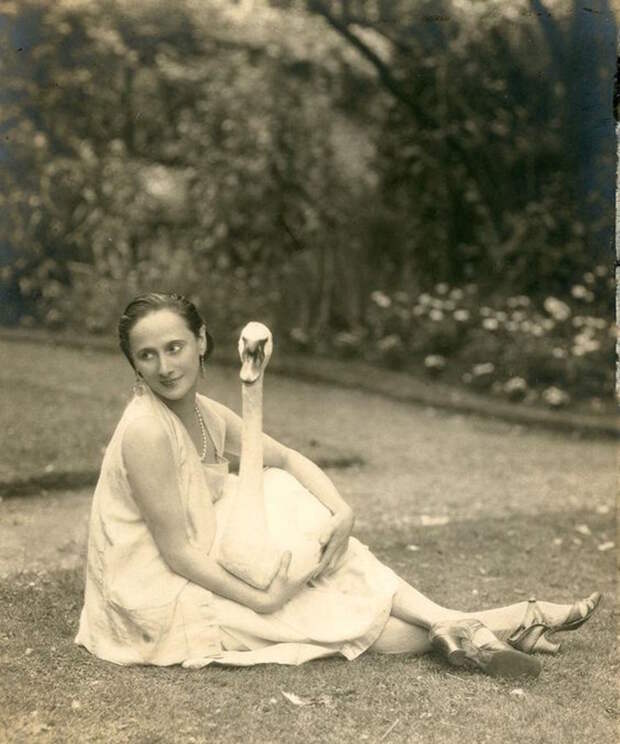 Anna Pavlova и ее лебедь Анна Павлова, балет, ностальгия