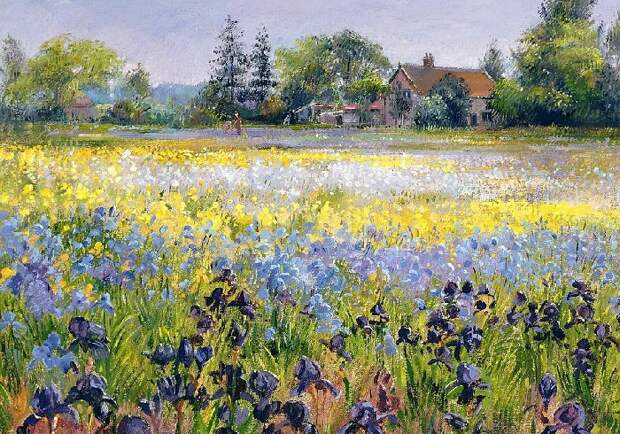 Ирисы и две ели. (Irises and Two Fir Trees). Художник: Timothy Easton. Ирисы и две ели. (Irises and Two Fir Trees). Художник: Timothy Easton.