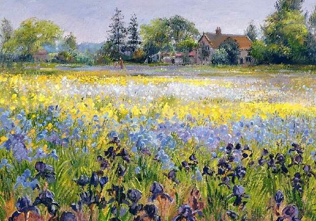 Ирисы и две ели. (Irises and Two Fir Trees). Художник: Timothy Easton.