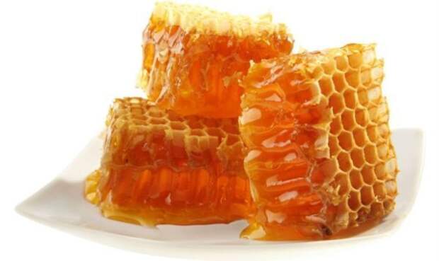 10 природных антибиотиков