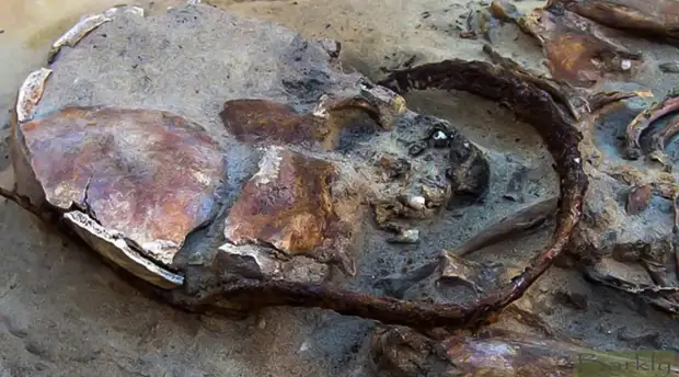 Лесбос Греция Раскопки на старом турецком кладбище принесли археологам неожиданную находку: гроб, обитатель которого связан тяжелыми железными прутьями. Местные жители рассказали ученым, что именно так на Лесбосе издавна умерщвляли вампиров, используя власть железа над живыми мертвецами. Анализ костной ткани показал и возраст захоронения — оказалось, что жители Лесбоса повстречали вампира всего полвека назад.