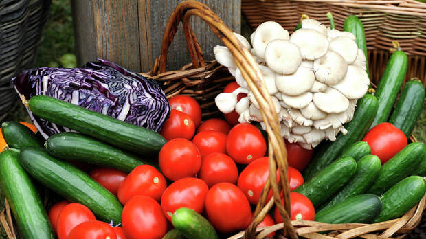 В России упали цены на 