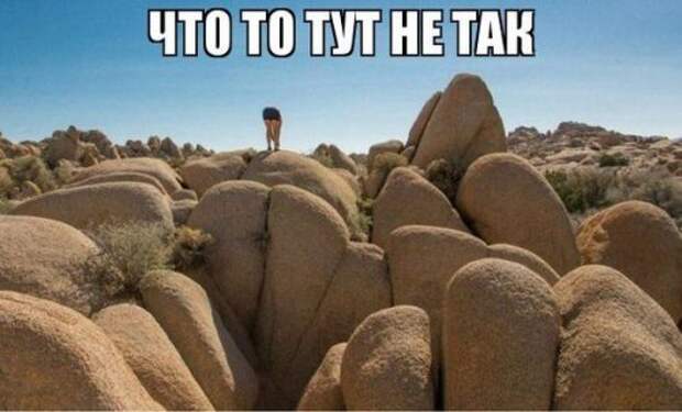 Прикольные фотомемы (25 шт)