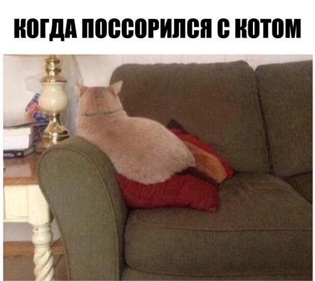 1452505334_fotomemy-3
