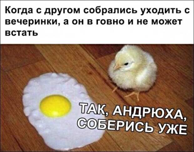 Картинки с надписями и анекдоты