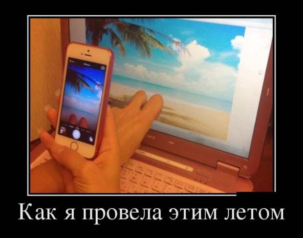 Демотиваторы