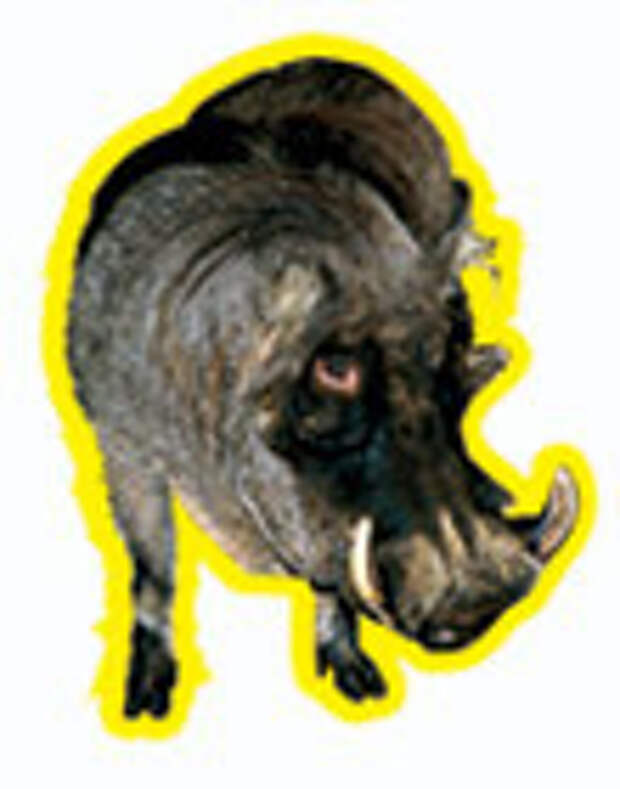 Фунтик Фунтик