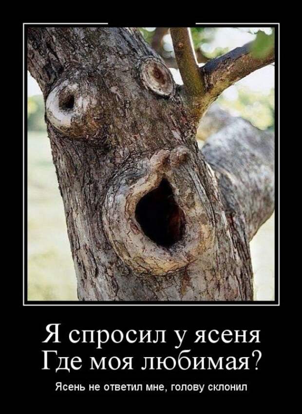 Демотиваторы (30 фото)
