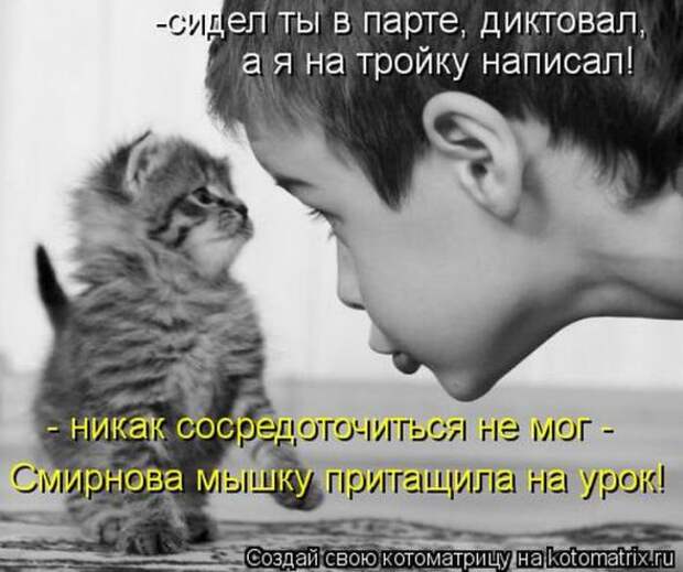 Котоматрицы(картинки с надписями)