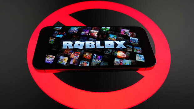 Роскомнадзор не видит оснований для разблокировки Roblox