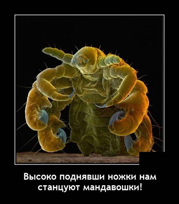 Демотиваторы 26 мая 2021 года
