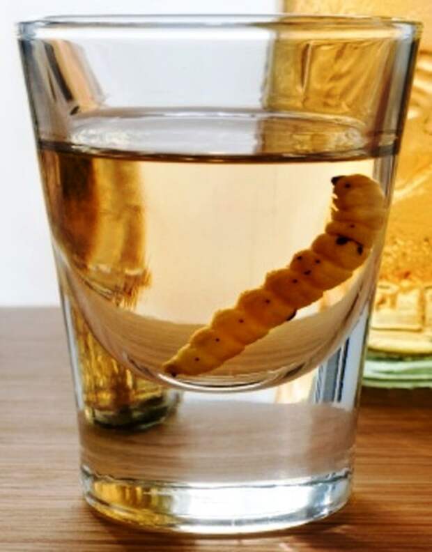 caspost.com-Caspost-tequila-worm