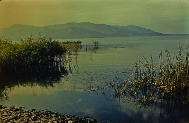 Находка на барахолке. Фотоархив советского геолога Фотография, СССР, Винтажное фото, Слайды, Память, Длиннопост