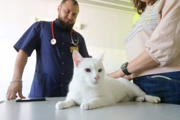 Россельхознадзор зарегистрировал вакцину «Карнивак-Ков», предназначенную для профилактики COVID-19 у пушных зверей, собак и кошек.