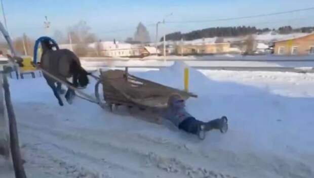 Лошадь протащила ребенка по снегу во время катания на санях