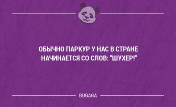 Смешные фразы и забавные мысли. Часть 47 (18 шт)