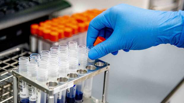 В Польше за сутки выявили более 6 тысяч случаев коронавируса