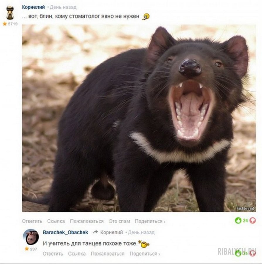 воскресный юмор