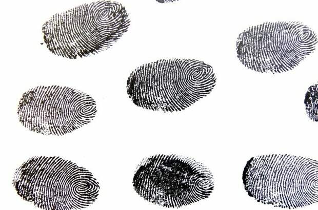 У прибывших без визы иностранцев возьмут отпечатки пальцев