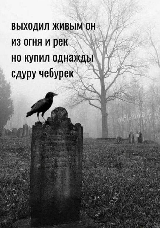 Смешные и прикольные до слез картинки