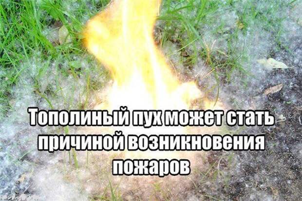 Безопасность/Фото 2 РОНПР Управления по СЗАО Главного управления МЧС России по г. Москве