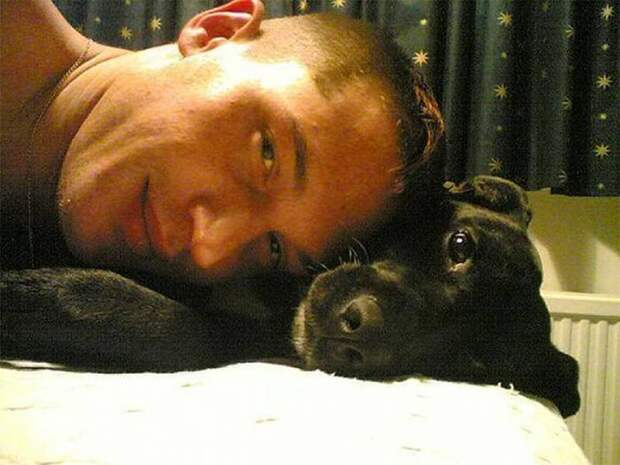 https://sobakibalabaki.com/wp-content/uploads/2017/09/love-for-dogs-tom-hardy-34-59bf89ed01494__700.jpg