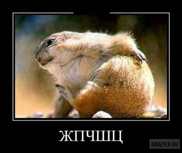 воскресный юмор