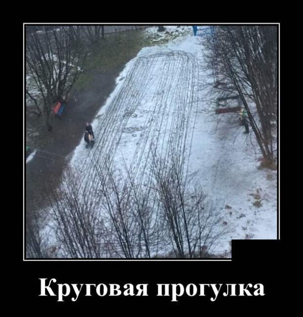 Демотиваторы (30 фото)