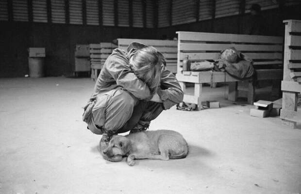 31 января 1971 года. Вьетнам. Лагерь в Кванг Три.