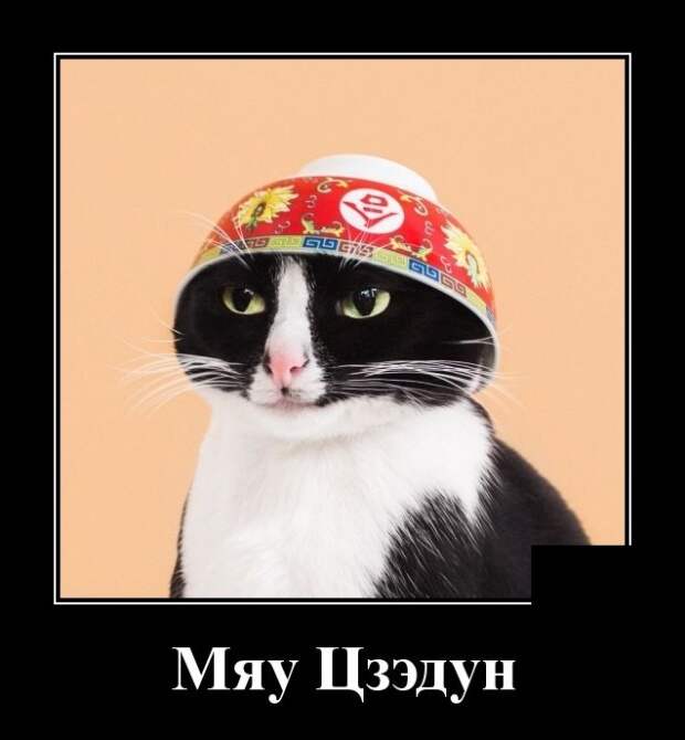 Демотиваторы