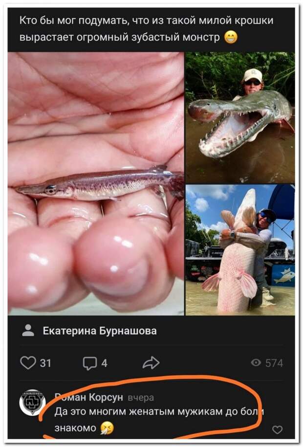 setey-socialnyh-kommentarii-citaty-vkontakte-vkontakte-smeshnye-statusy