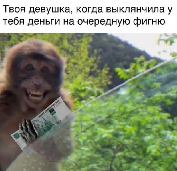 Мемы и приколы про отношения и 