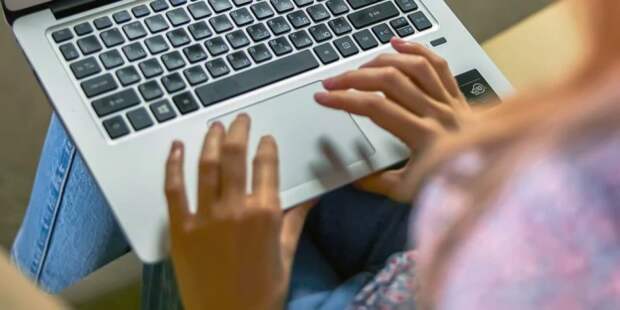 Эксперты смогут сами убедиться в корректности подсчета голосов онлайн-голосования. Фото: М.Денисов, mos.ru