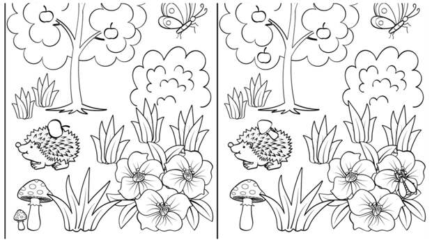 Тест на внимательность: найдите за одну минуту 5 отличий на картинке с симпатичным ежиком в саду